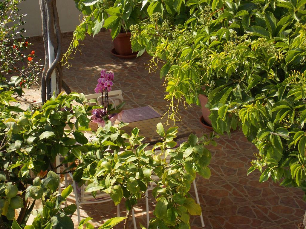 Apartmani Niki Hvar Hvar Town Esterno foto